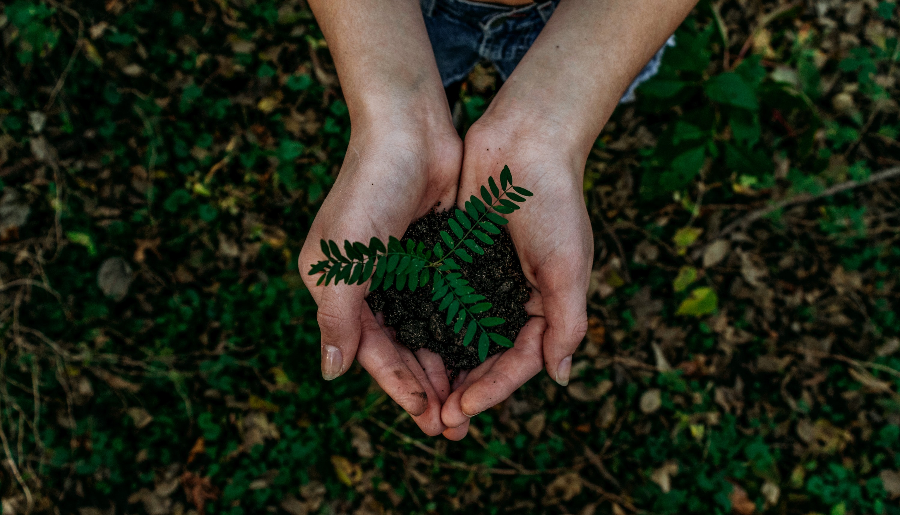 The Transformative Impact of Regulatory Changes on Sustainability Reporting