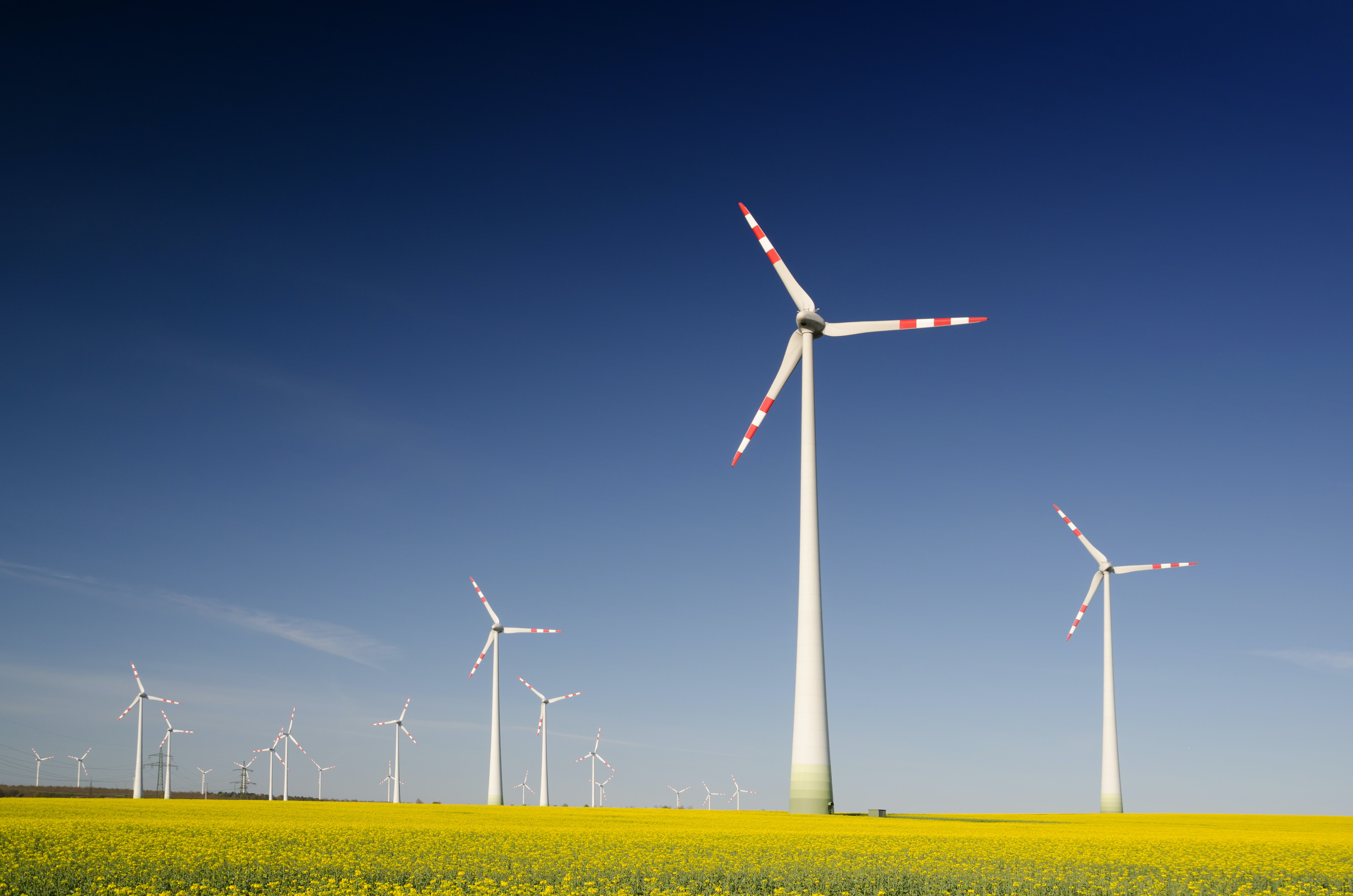 Leading the Change: Embracing Decarbonization in 2024