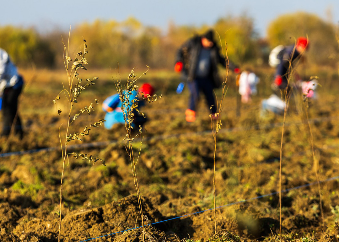 PlantFEST 2024: A Carbon-Neutral Celebration of Sustainability